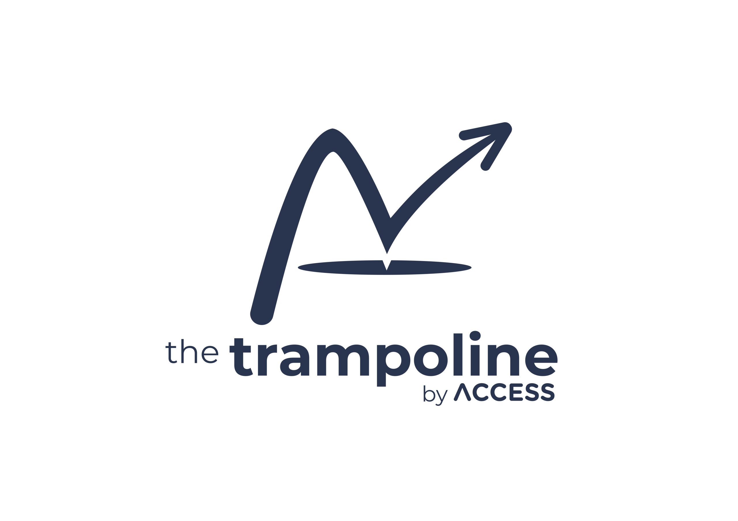 The Trampoline by ACCESS