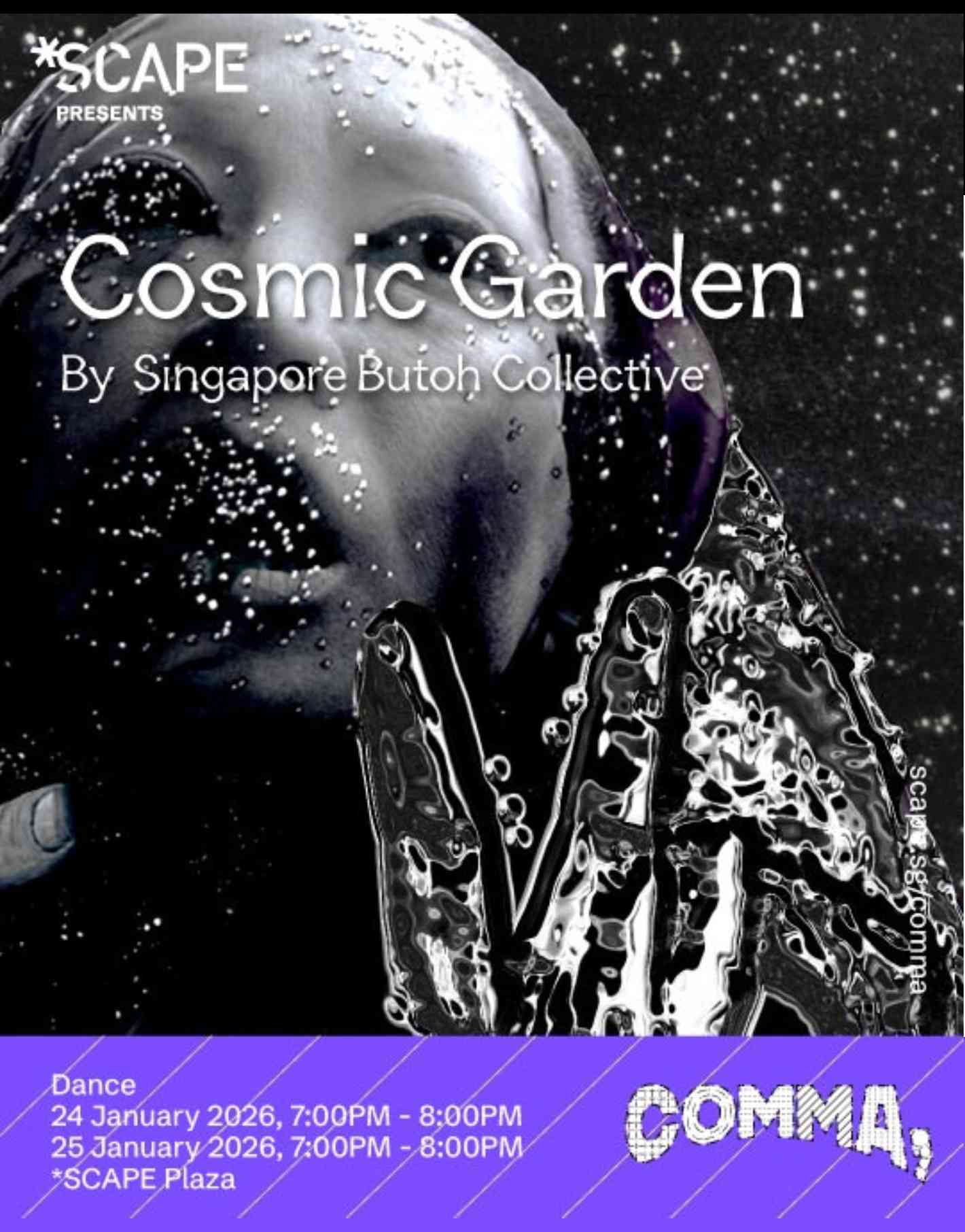 [COMMA] Cosmic Garden