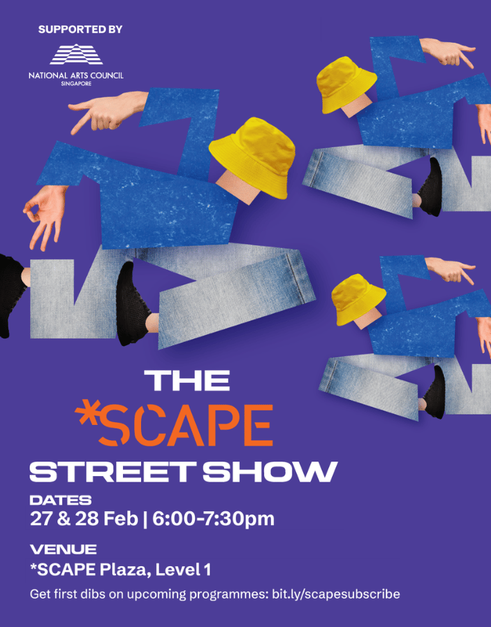 The *SCAPE Street Show – 27 & 28 Feb