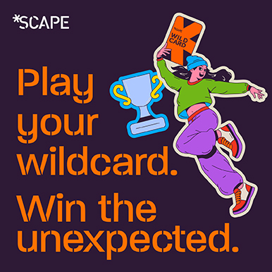 PLAY YOUR WILDCARD. WIN THE UNEXPECTED.