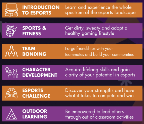 Summercamps 2