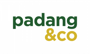Padang & Co Logos Color