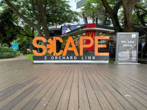SCAPE FRONT OF HOUSE