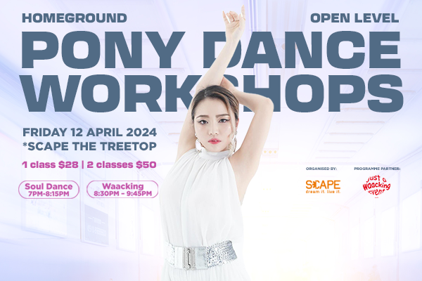 Web Danceworkshopspony